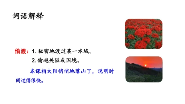 3《现代诗二首》课件