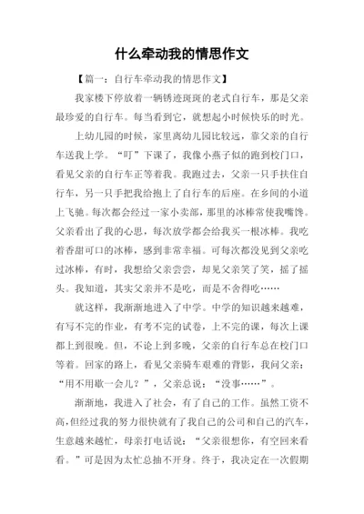 什么牵动我的情思作文.docx