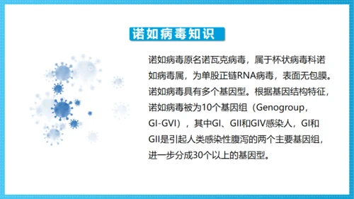 诺如病毒科普讲义卫生消费通用PPT模板