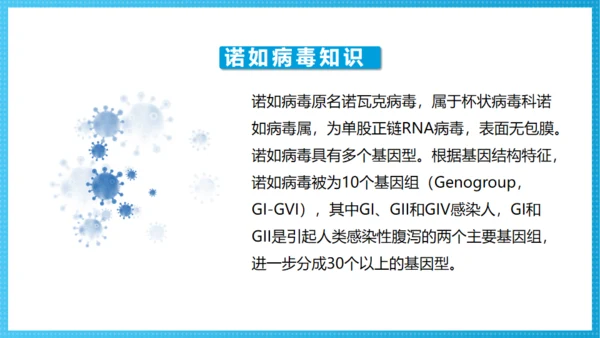 诺如病毒科普讲义卫生消费通用PPT模板