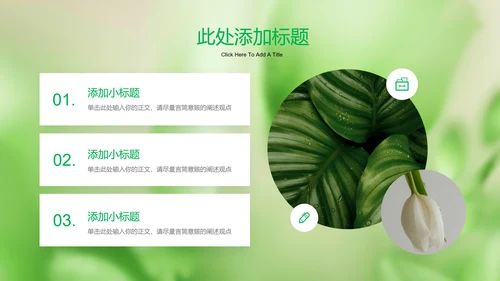 绿色清新风总结汇报通用PPT演示模板