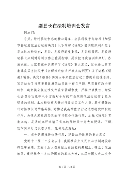 副县长在法制培训会发言.docx