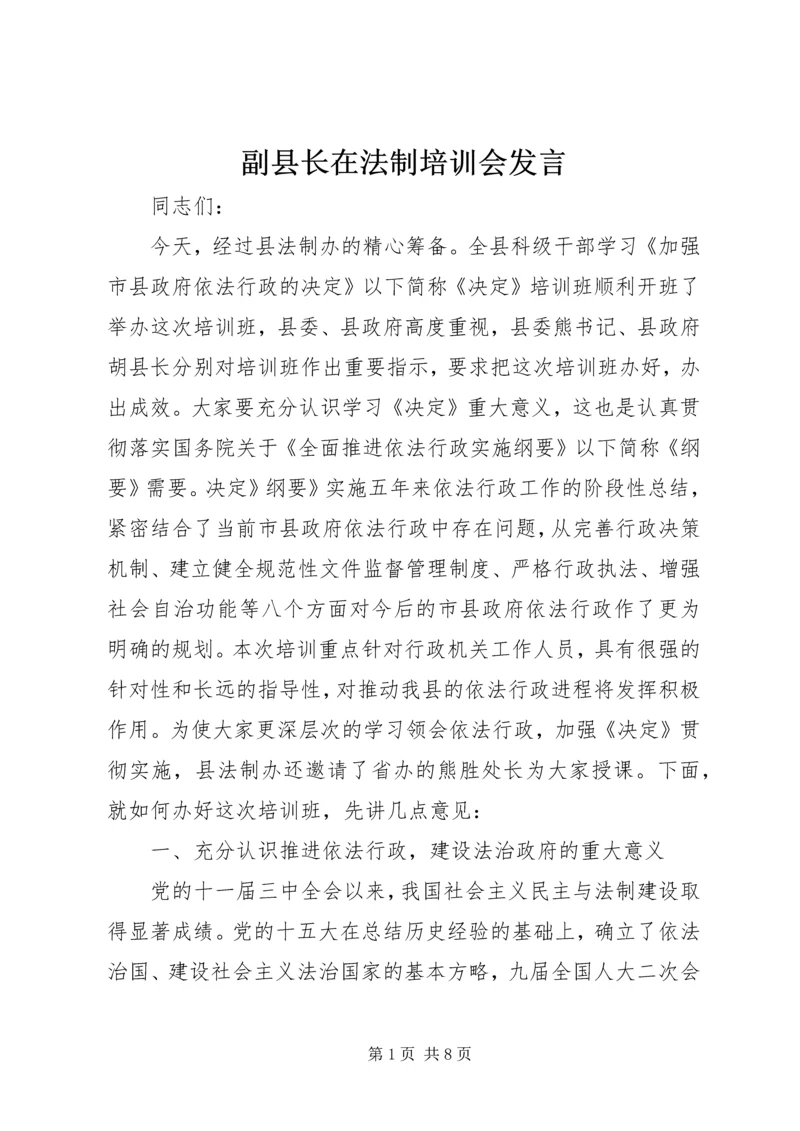 副县长在法制培训会发言.docx