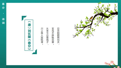 绿意春天春分通用PPT模板