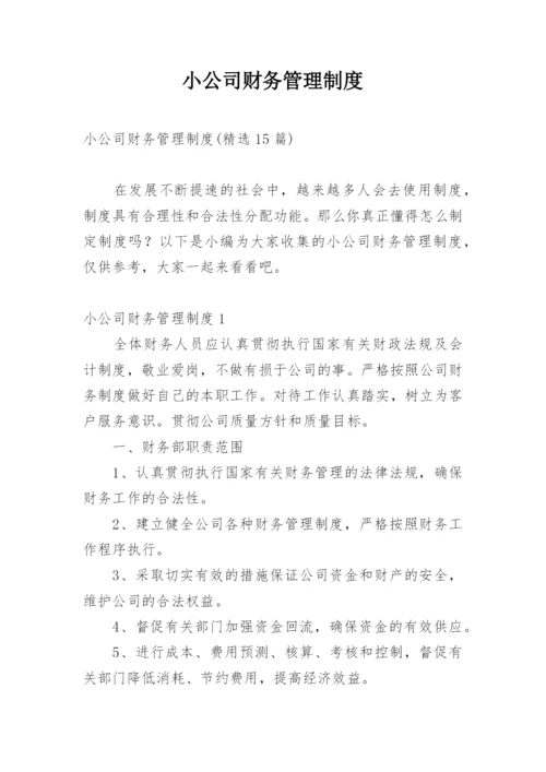 小公司财务管理制度_1.docx