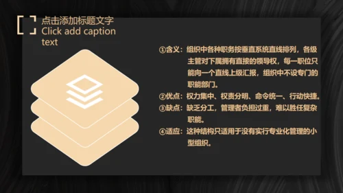 商业项目计划书暗金色实力大气通用PPT模板