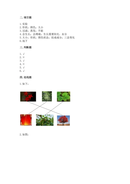教科版科学一年级上册第一单元《植物》测试卷及答案（精品）.docx