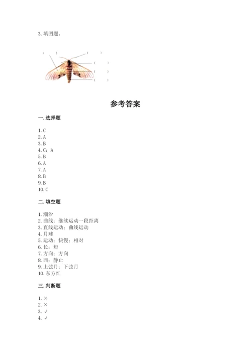 教科版小学科学三年级下册 期末测试卷【考点梳理】.docx