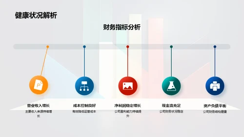 财务健康与前景分析