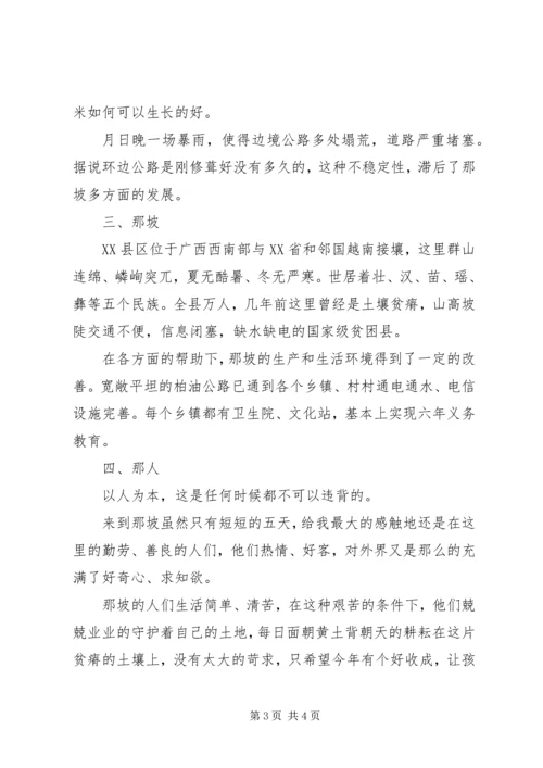 团旗飘扬耀边境暑假社会实践活动报告.docx
