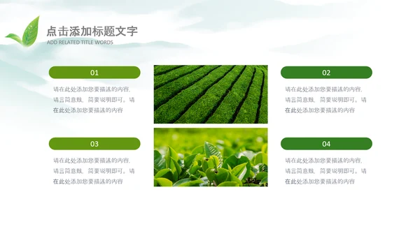 清新茶叶茶道春茶农村旅游茶园绿茶红茶PPT