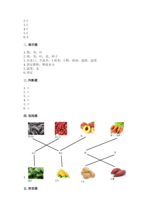 科学四年级下册第一单元《植物的生长变化》测试卷（模拟题）.docx