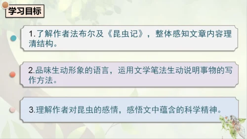 21《蝉》课件