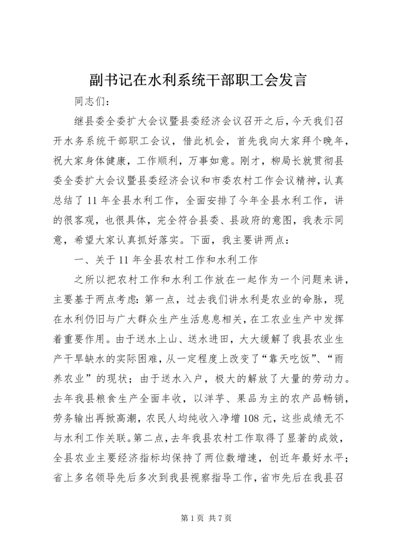 副书记在水利系统干部职工会发言.docx