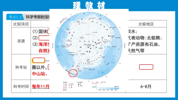 七下：极地地区（一轮复习12张）（人教版）