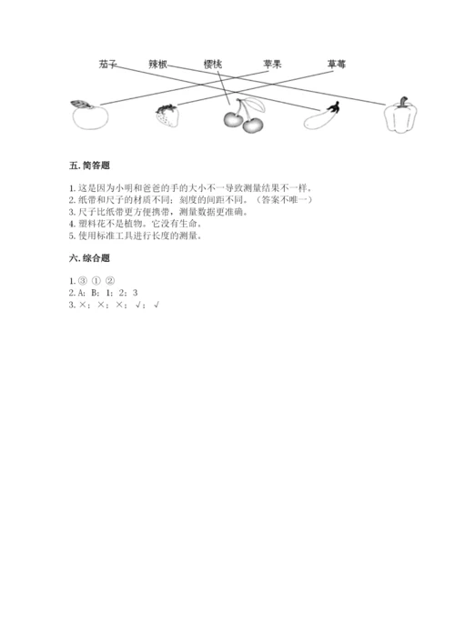 教科版一年级上册科学期末测试卷精品（名师系列）.docx