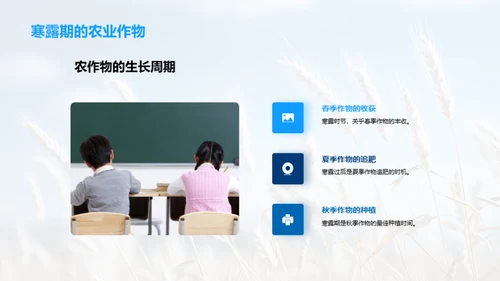 解析寒露之科学