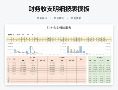 财务收支明细报表模板