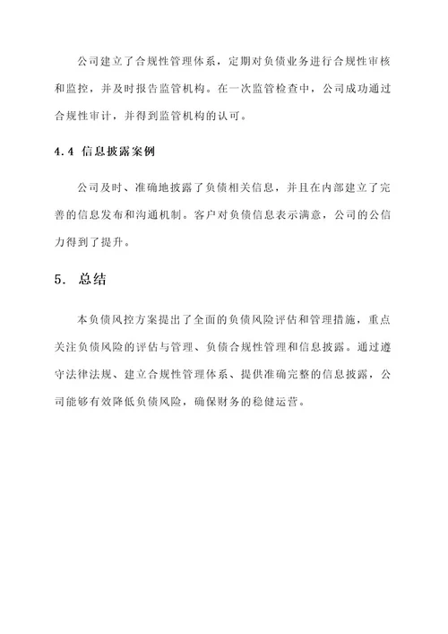 公司负债风控方案