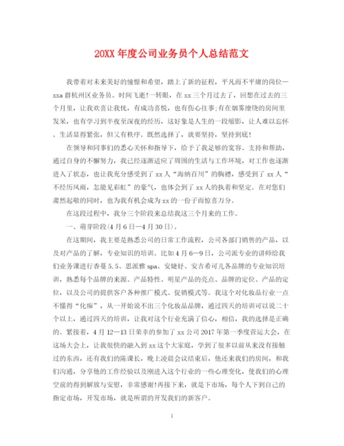 精编之度公司业务员个人总结范文.docx