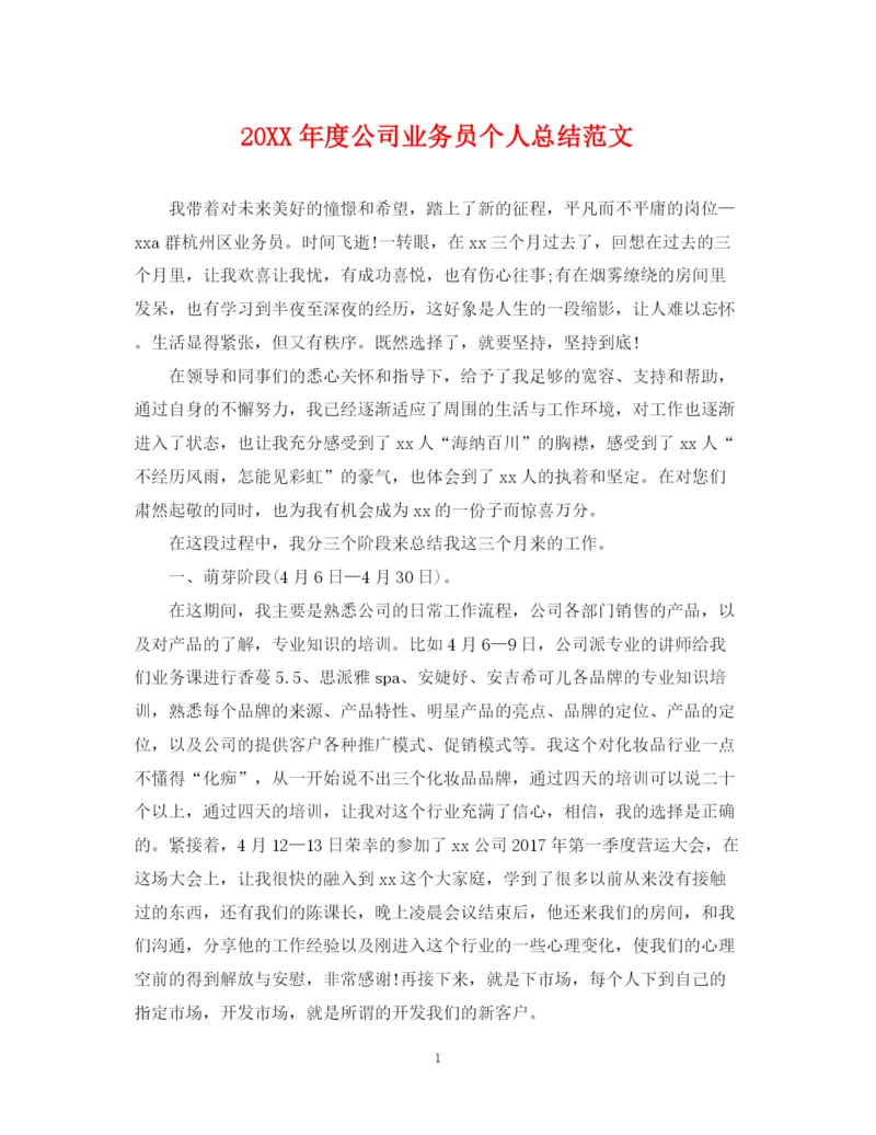 精编之度公司业务员个人总结范文.docx