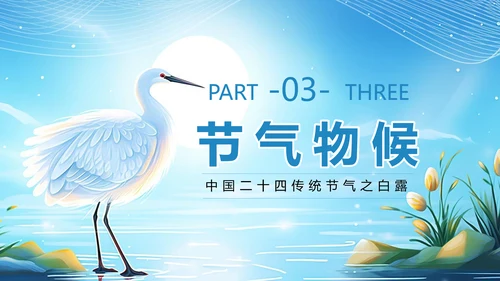 美丽的梦幻传统节气白露PPT模板