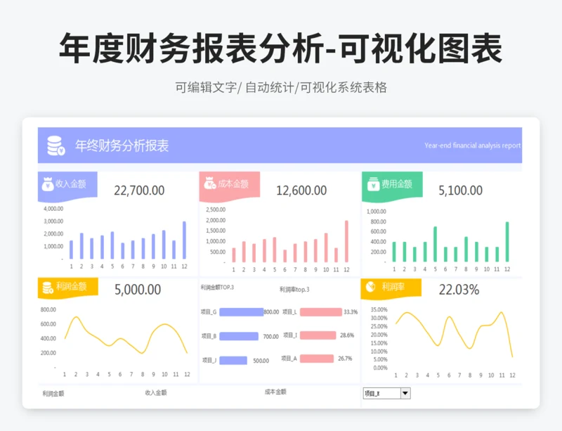 年度财务报表分析-可视化图表