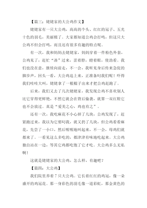 大公鸡作文400字.docx