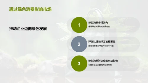 绿色消费与双十一