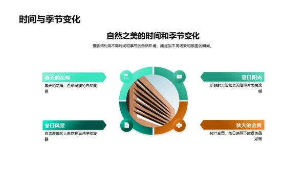 探索自然摄影