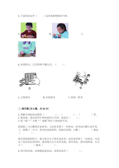 教科版小学科学一年级下册期末测试卷及参考答案【研优卷】.docx