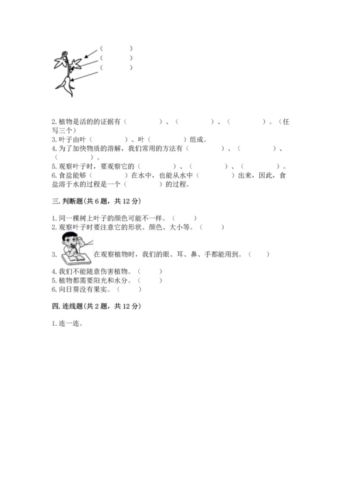 教科版科学一年级上册第一单元《植物》测试卷及一套参考答案.docx