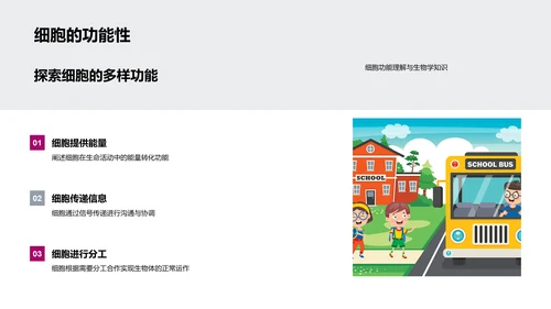 细胞知识讲解PPT模板
