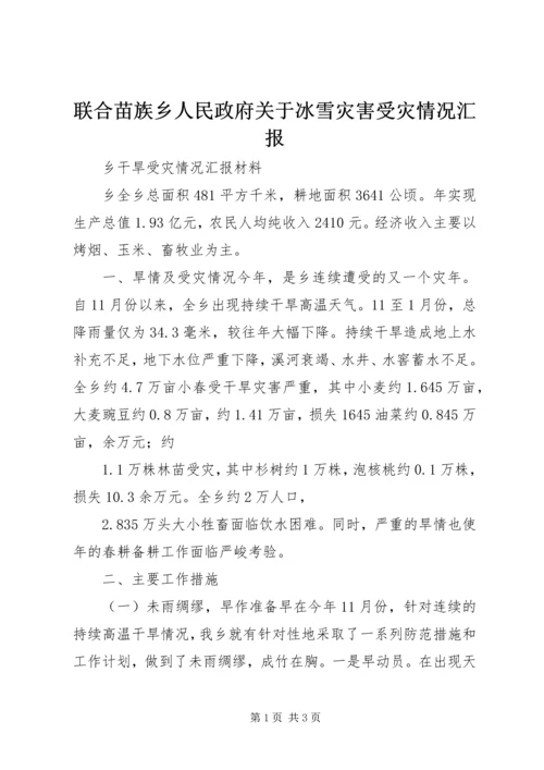 联合苗族乡人民政府关于冰雪灾害受灾情况汇报 (5).docx