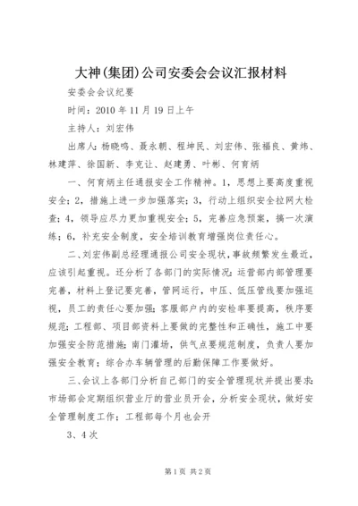大神(集团)公司安委会会议汇报材料 (4).docx