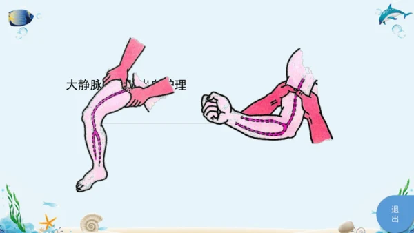 人教版八年级下册生物复习课件