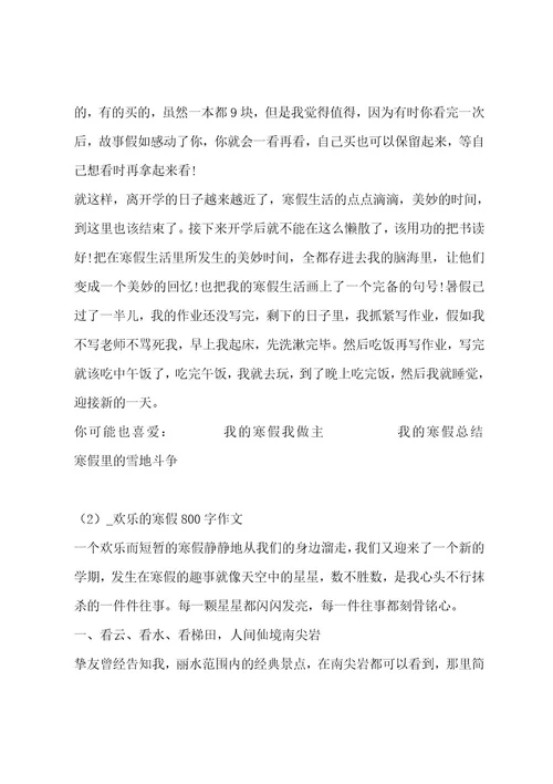 快乐的寒假800字作文集锦15篇作文