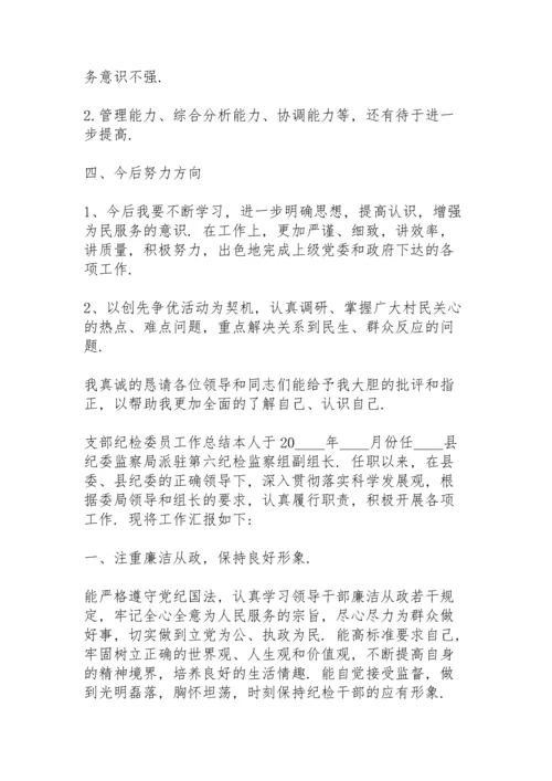 支部纪检委员工作总结.docx