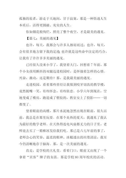 美丽的遇见作文.docx