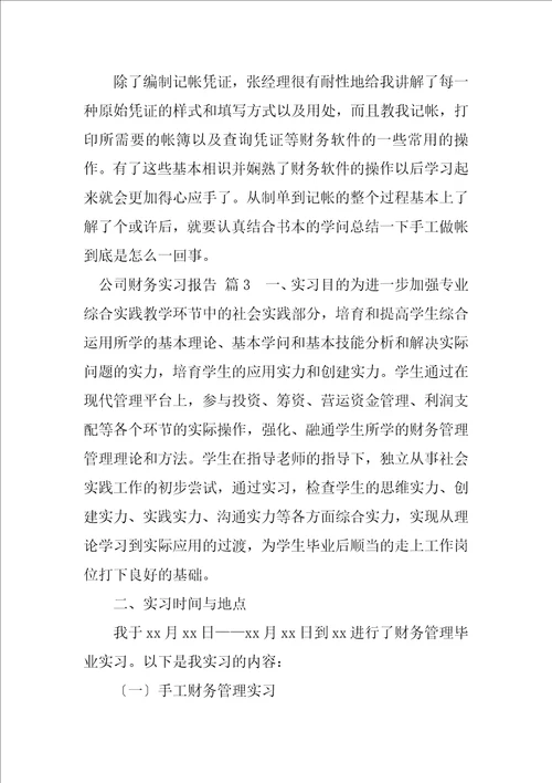 2023年件技术服务公司财务实习报告