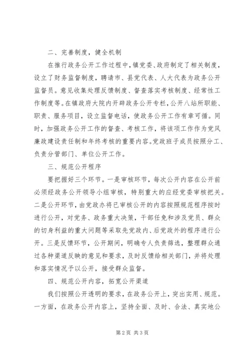 乡镇政务公开工作汇报_1.docx