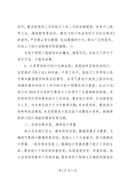 县统计执法检查自查报告.docx