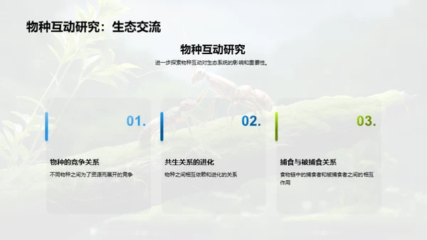 生态秘境：物种之舞