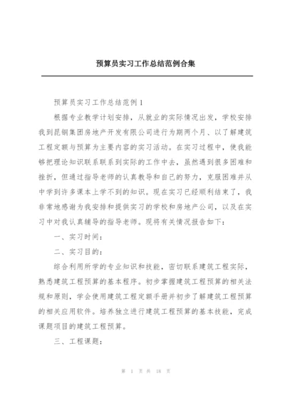 预算员实习工作总结范例合集.docx