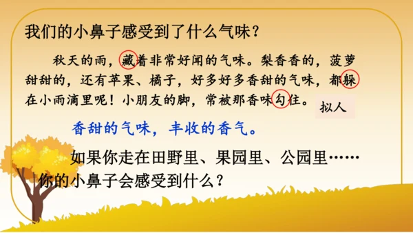 6 秋天的雨   课件