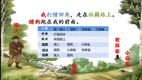 第16课《麻雀》课件