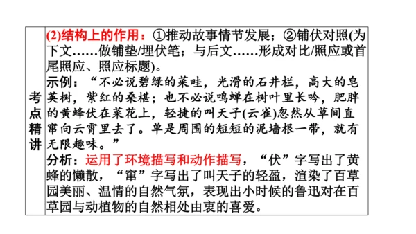 七年级语文上册第三单元复习要点 课件