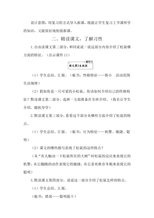 17 松鼠 教案