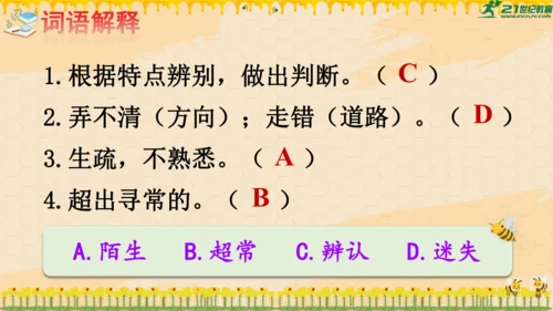 14《蜜蜂》课件