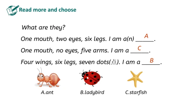 Unit 6 Useful numbers  Part B Let's learn(优课）课件（19